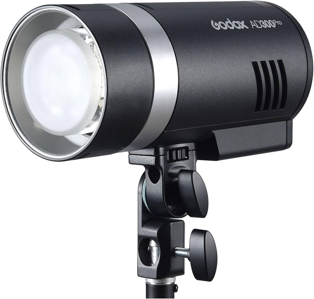 GODOX AD300 Pro dual kit case Logo