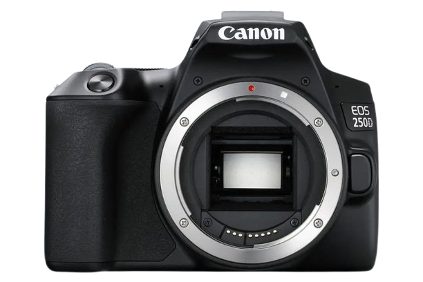 Canon 250D Logo