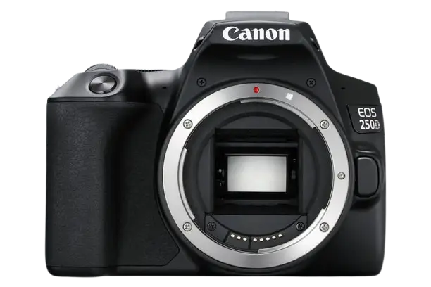 Canon 250D Logo